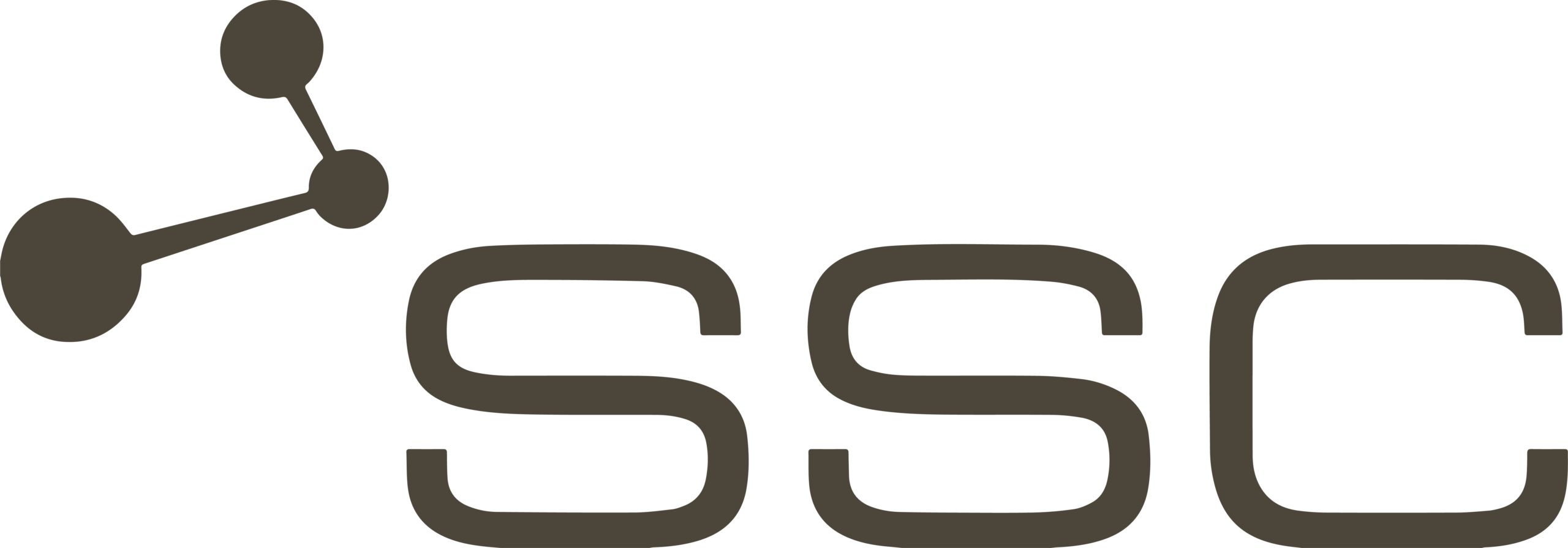 Logo of SSC Services